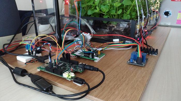 Sera inteligenta , Foto: StartupCafe.ro