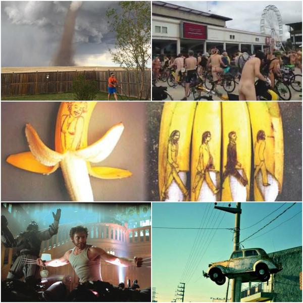 Faze tari, Foto: Colaj foto