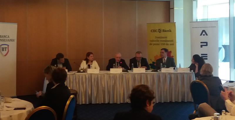 Imagine de la conferinta de joi, Foto: Hotnews