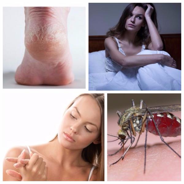 Utile, Foto: Colaj foto