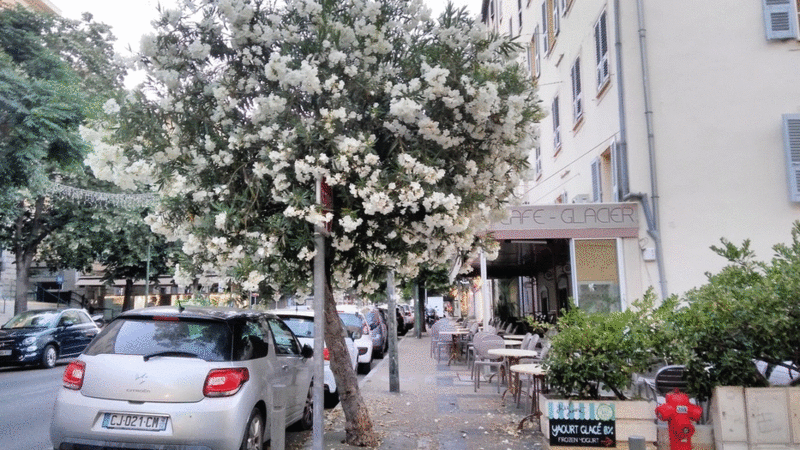 Corsica Haute Culture, Foto: Haute Culture