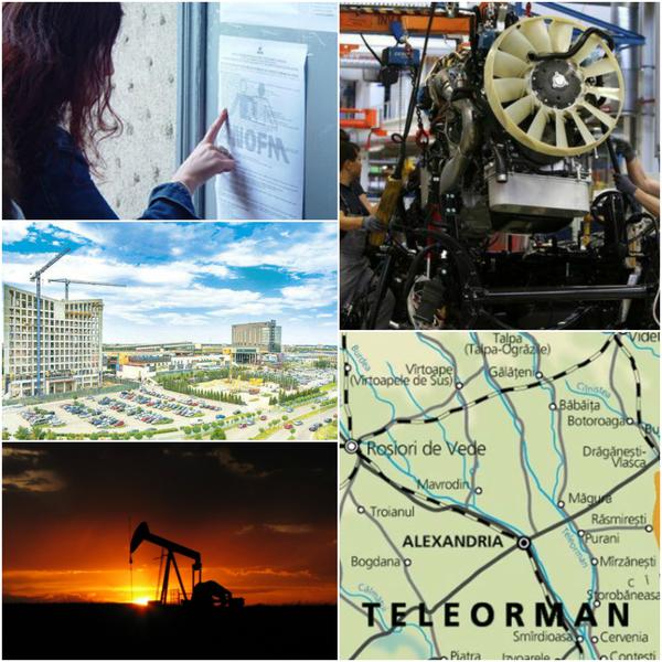 Business report, Foto: Colaj foto