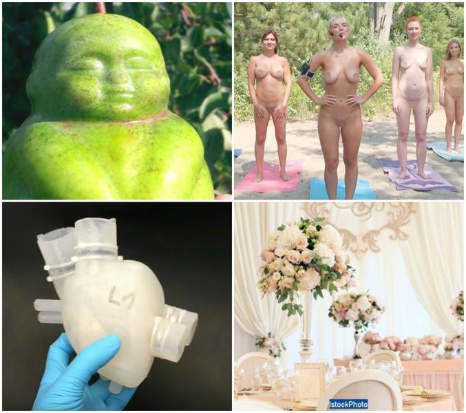 Faze tari, Foto: Colaj foto