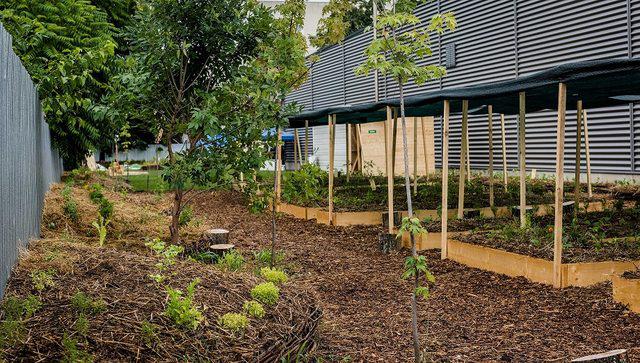 Kaufland_Gradinescu, Foto: Kaufland Romania