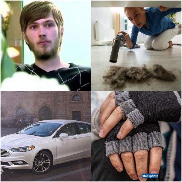 Faze tari, Foto: Colaj foto