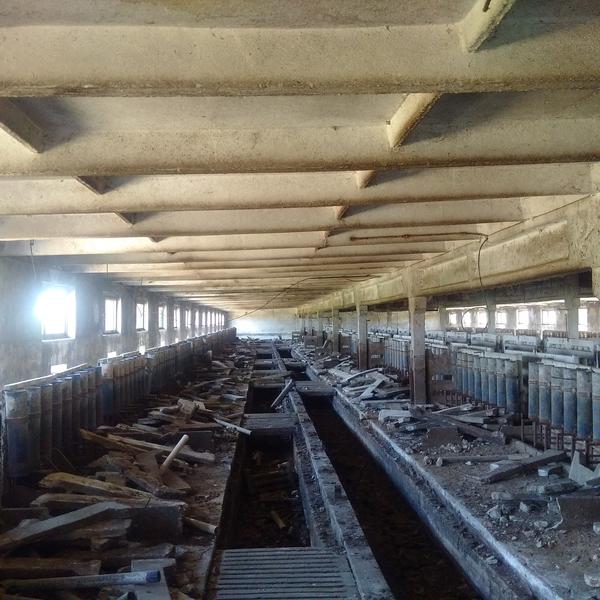 Fosta ferma de proci de la Peris, Foto: Hotnews