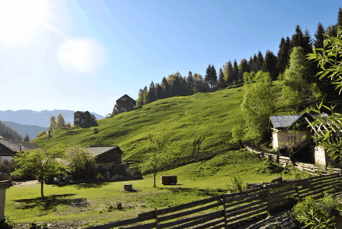 Toponime Judetul Arges, Foto: CJ Arges