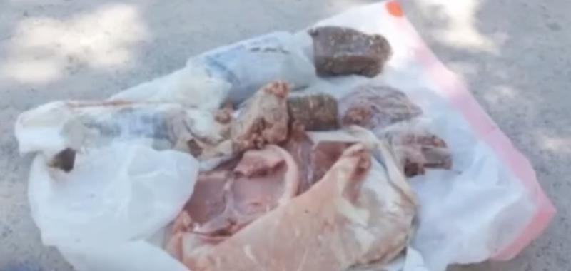 carnati, Foto: Captura YouTube