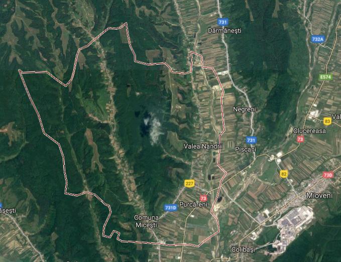 Pauleasca, Arges, Foto: Google Maps