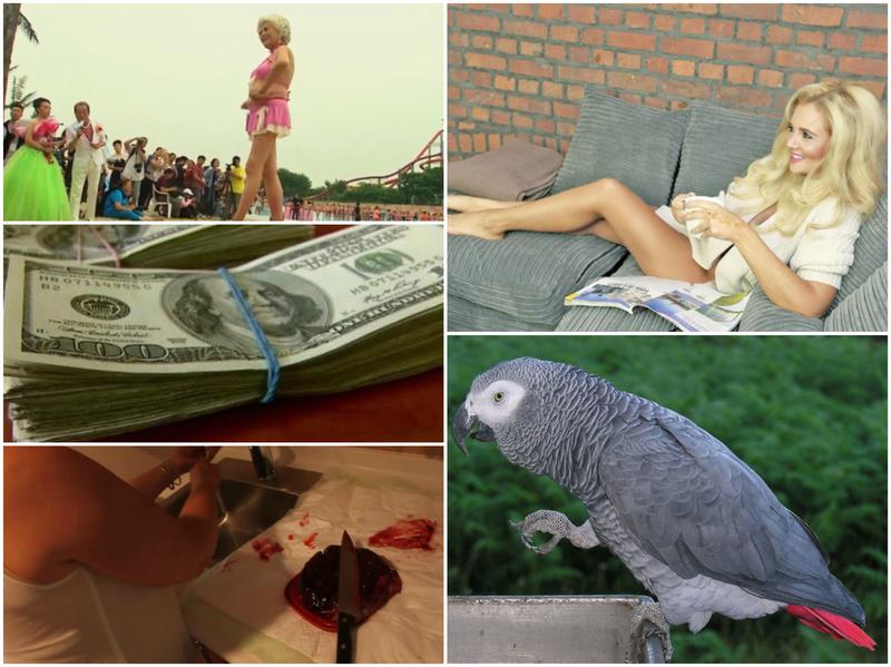 Faze tari, Foto: Colaj foto