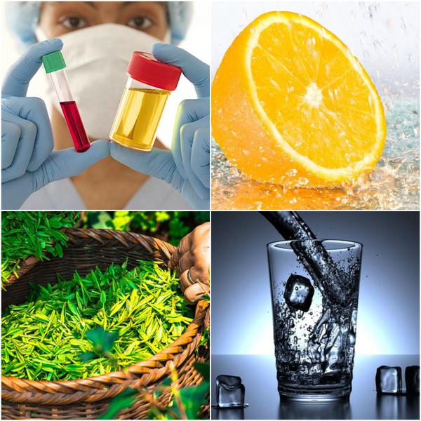 Utile, Foto: Colaj foto