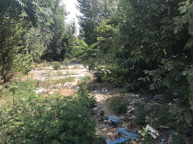 Gunoaie aruncate pe drumul spre Esplanada, Foto: Hotnews