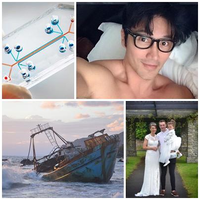 Faze tari, Foto: Colaj foto