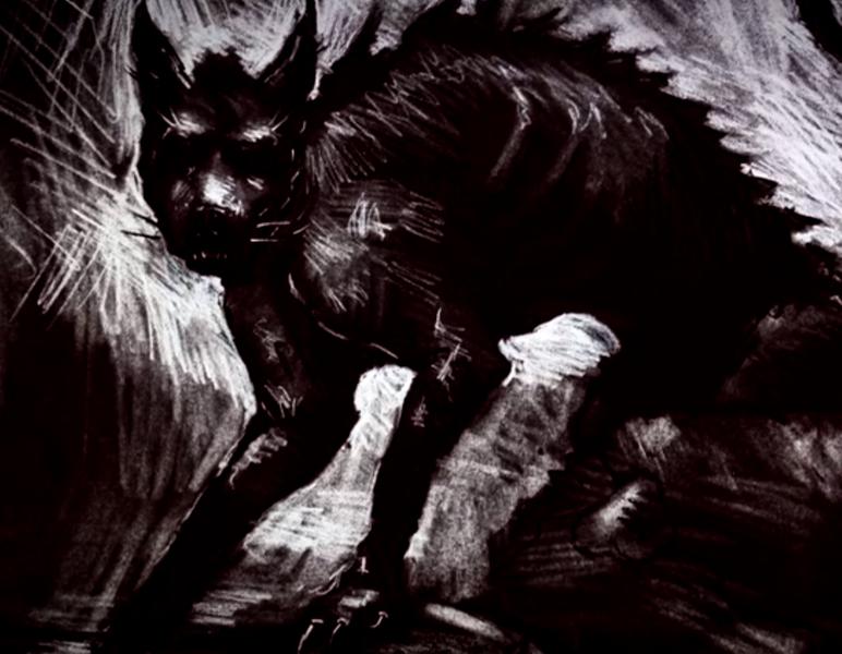 chupacabra, Foto: Captura YouTube