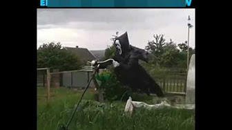 Sperietoare de manelisti, Foto: youtube.com