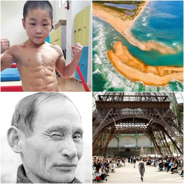 Faze tari, Foto: Colaj foto