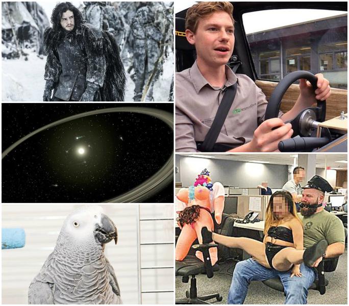 Faze tari, Foto: Colaj foto