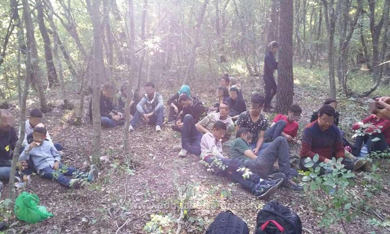 Migranti sirieni, descoperiti in padure de politistii de frontiera, Foto: Politia de Frontiera