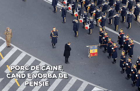 Porc de caine, Foto: Hotnews