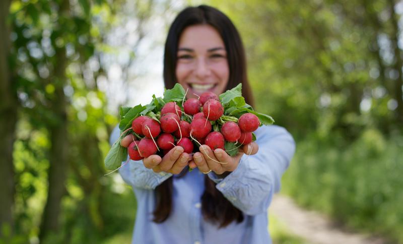 Afaceri cu produse bio, Foto: Dreamstime