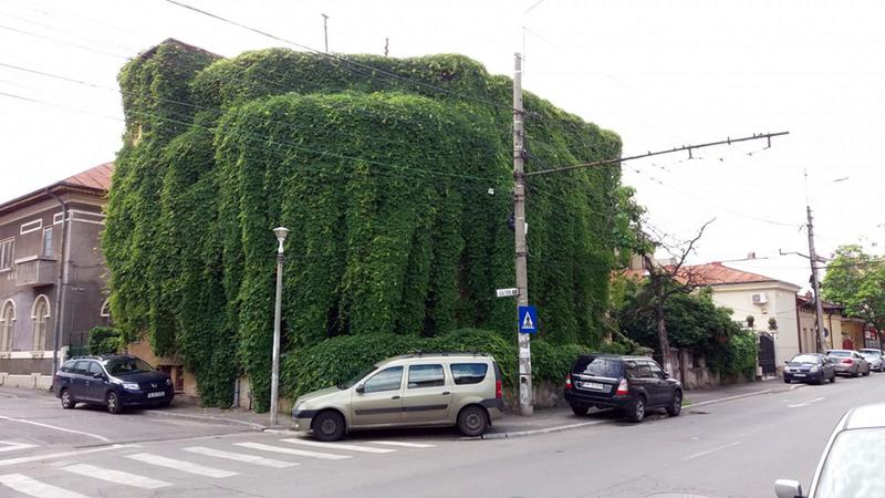 Cea mai frumoasa fatada - Premiul I - popescu catalin, Foto: Primaria Capitalei