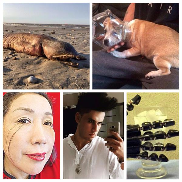 Faze Tari, Foto: Colaj foto