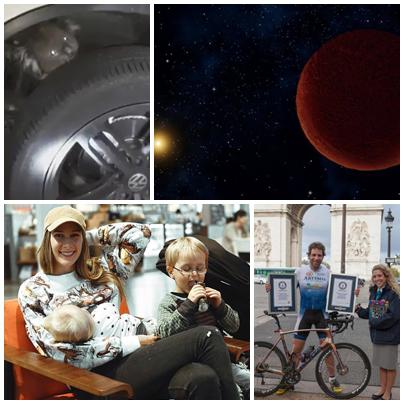 Faze tari, Foto: Colaj foto