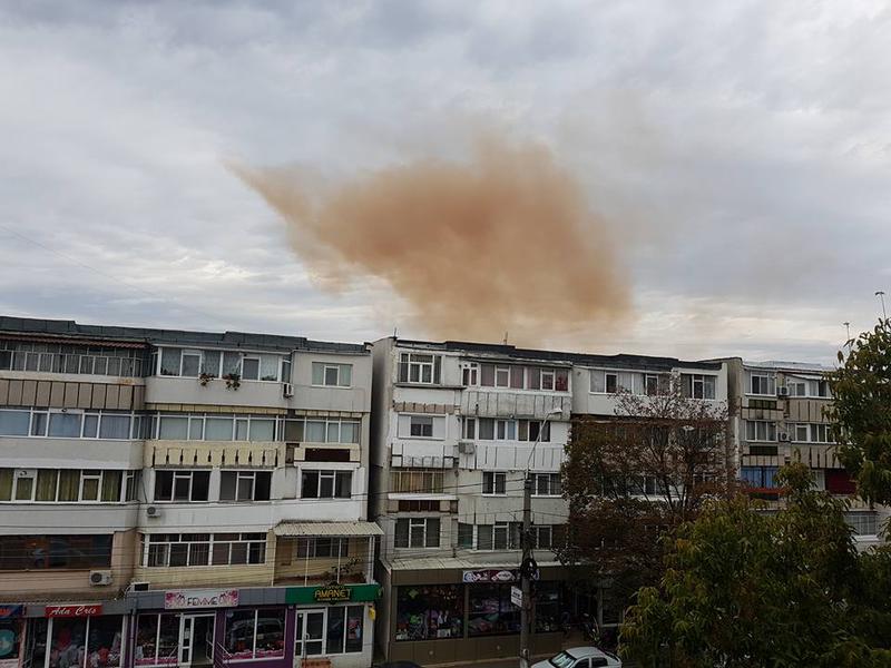 nor rosiatic Galati, Foto: Popov Paula Facebook