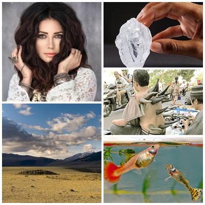 faze tari, Foto: Colaj foto