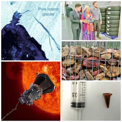 O lume nebuna, Foto: Colaj foto