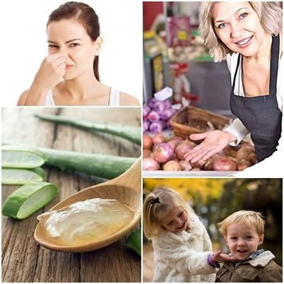 Utile, Foto: Colaj foto