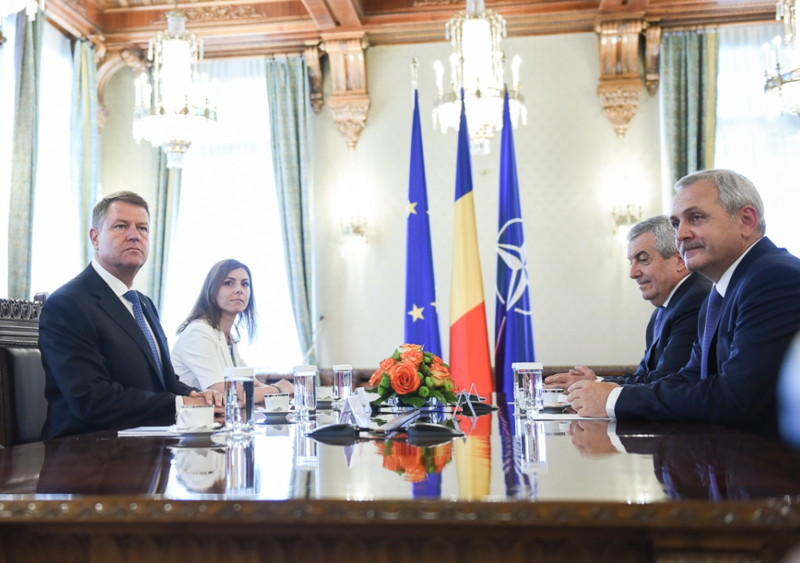 Liviu Dragnea, la consultarile din iunie de la Cotroceni, Foto: Presidency.ro