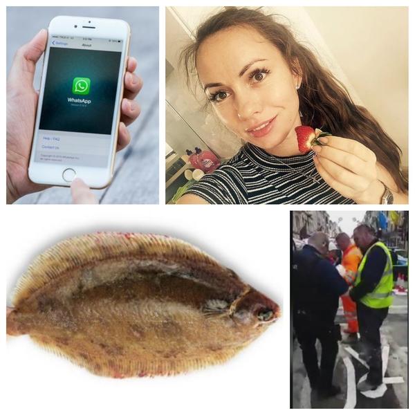 Faze Tari, Foto: Colaj foto