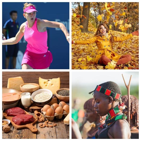 Utile, Foto: Colaj foto