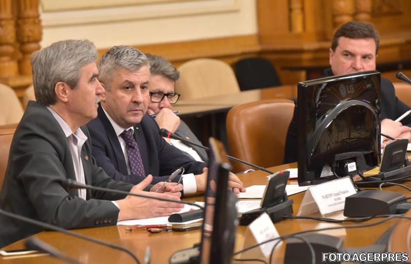 Marton Arpad si Florin Iordache, Foto: Agerpres