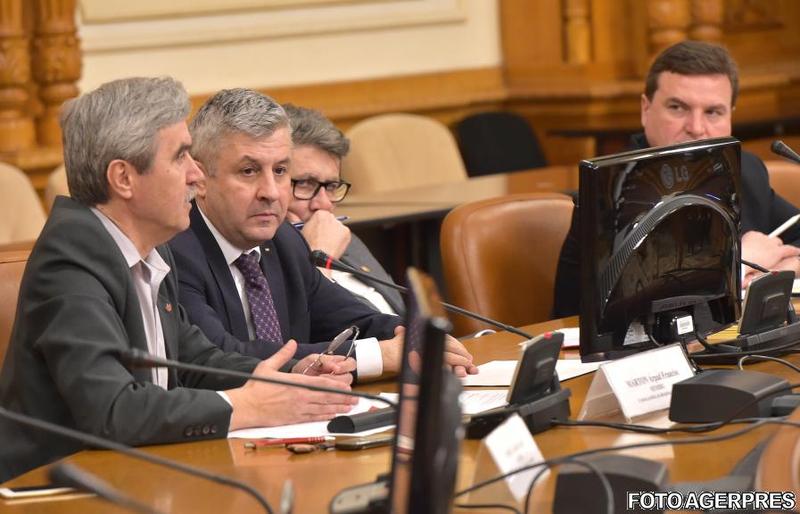 Marton Arpad si Florin Iordache, Foto: Agerpres