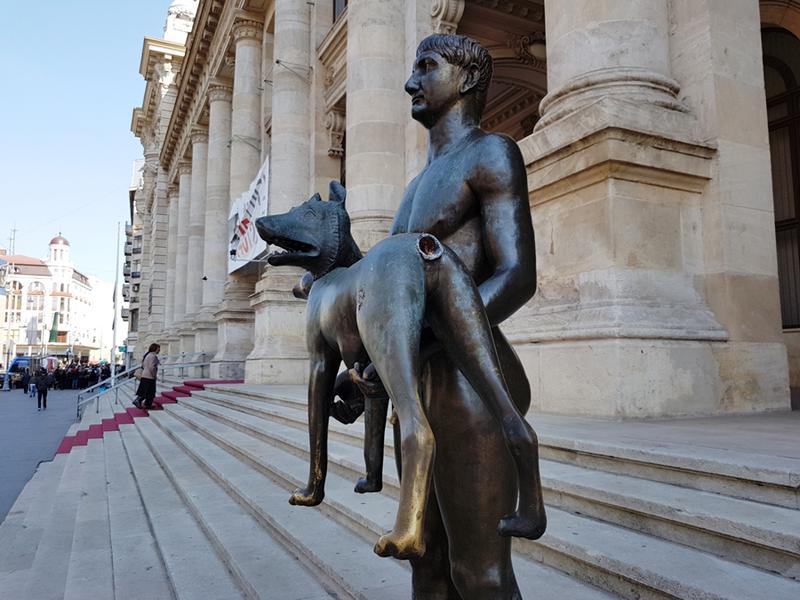 Lupoaica a ramas fara coada, Foto: Adrian Ilincescu/ HotNews.ro