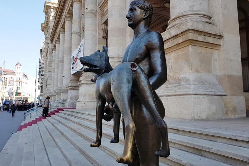 Lupoaica a ramas fara coada, Foto: Adrian Ilincescu/ HotNews.ro