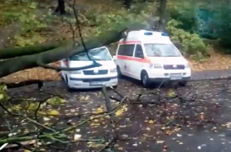 Ambulante lovite de un copac, Foto: Captura YouTube