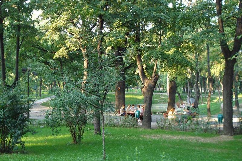 Parcul Kiseleff, Foto: USR