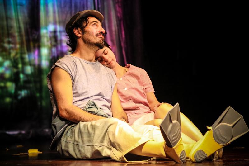 Cie Factory - Jurnalul unei ratuste urate - FITC 2017, Foto: Teatrul Ion Creanga