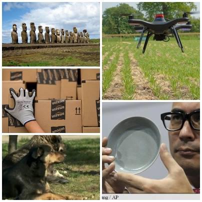 O lume nebuna, Foto: Colaj foto