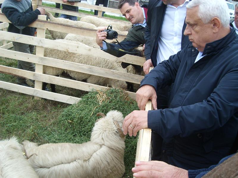 Petre Daea, Foto: Hotnews