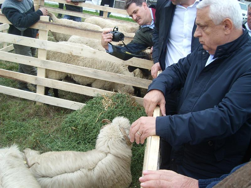 Petre Daea, Foto: Hotnews