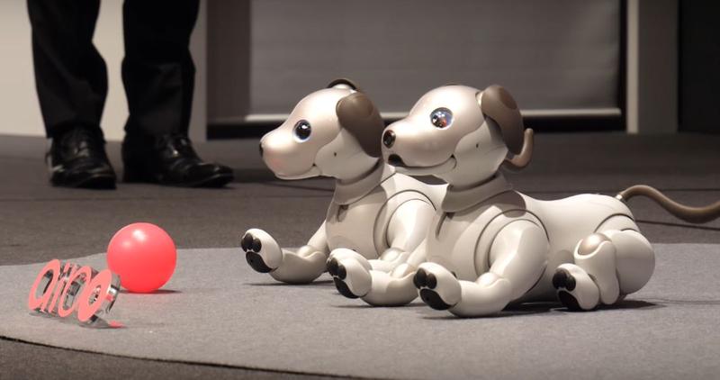 Cainele robotic Sony Aibo, Foto: Captura YouTube
