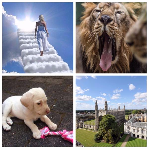 Faze Tari, Foto: Colaj foto