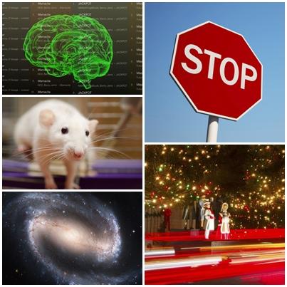 Faze tari, Foto: Colaj foto