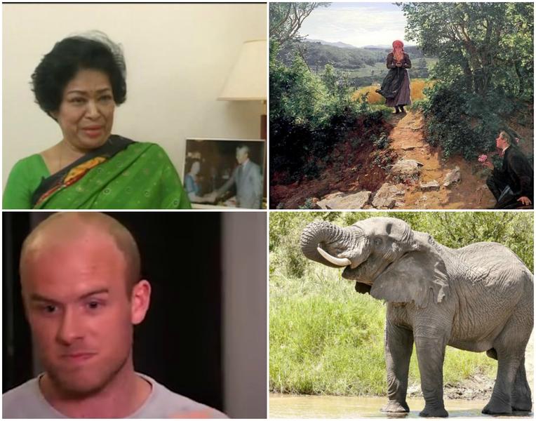 Faze tari, Foto: Colaj foto