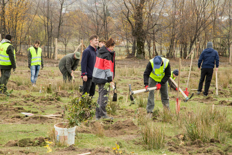 Padurea de maine - Prima plantare , Foto: AAP