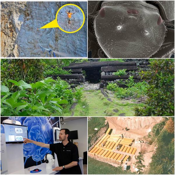 Faze tari, Foto: Colaj foto